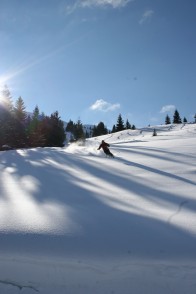 Photo Gallery