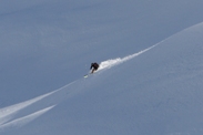 freeride darije