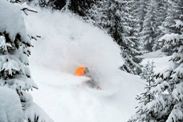 POWDER