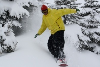 Photo Gallery