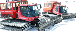 New Cat 300