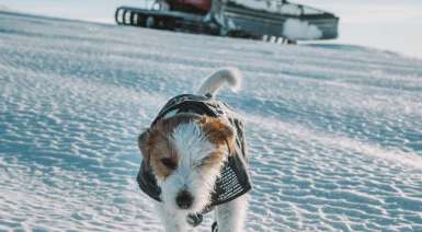 eskimo-freeride-gallery-04